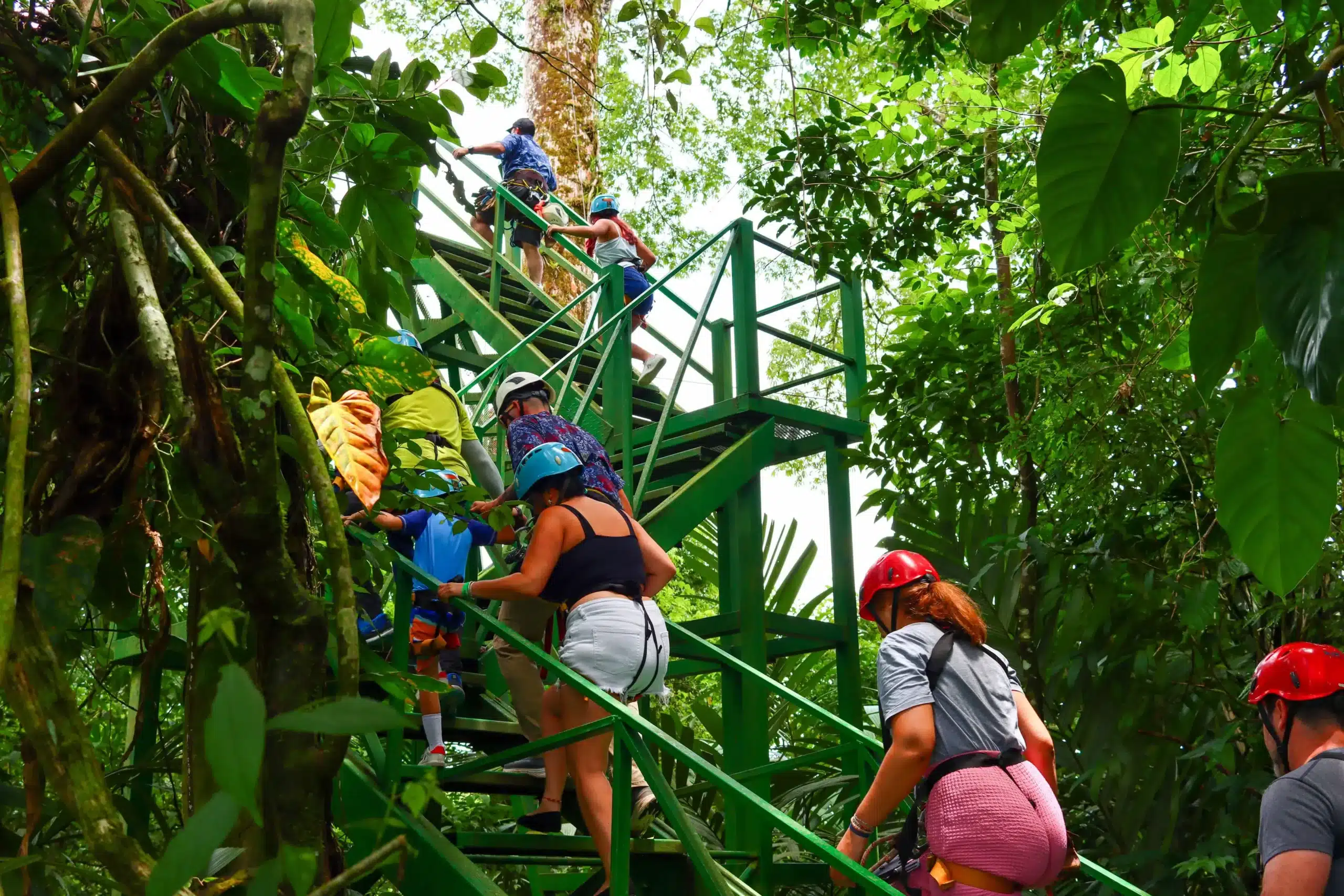 Visitors climbing canopy tower stairs at Canopy Tour La Fortuna near Arenal Volcano Costa Rica
